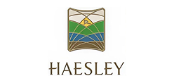 HAESLEY 로고