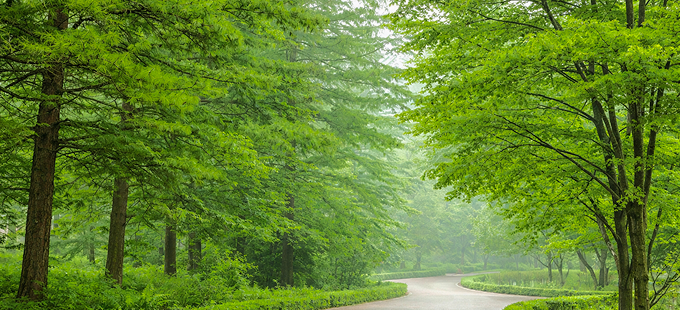 러시아 전통 웰니스 문화