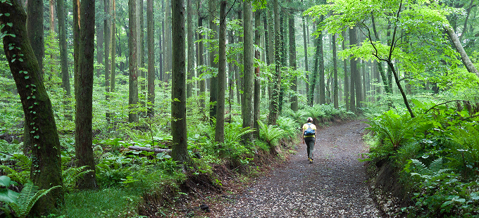 깊은 이완과 피로 회복